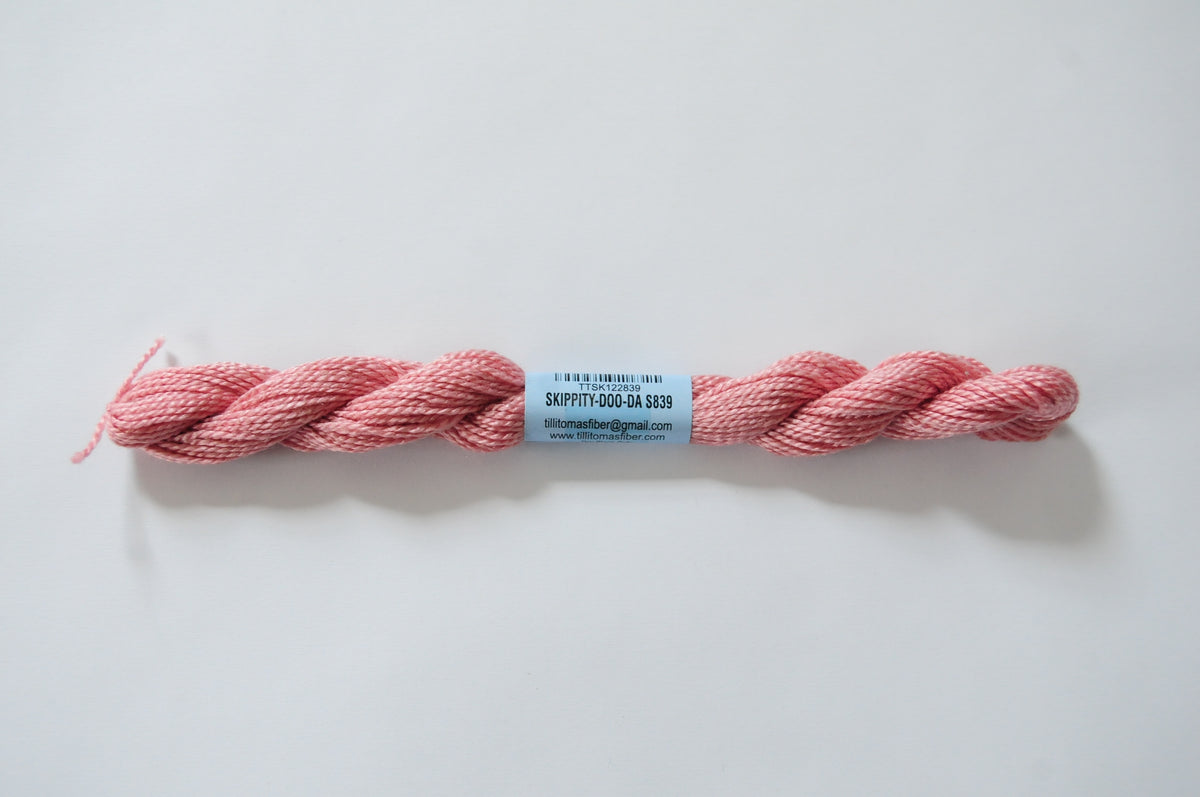 Essentials Skein - Skippity-doo-da 839