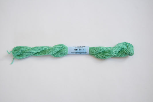 Essentials Skein - Plot 817