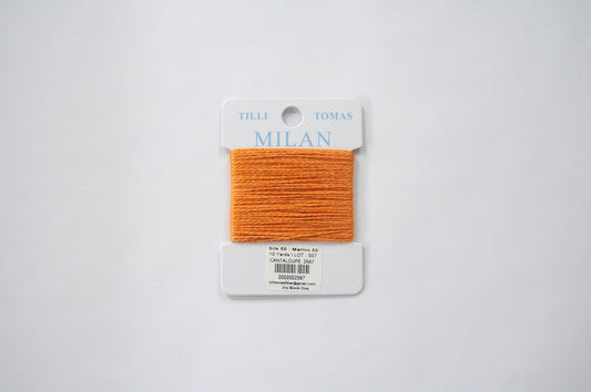 Milan Card - Canteloupe 2567
